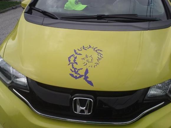 Front - a spiral of bats. You can also see the bat-cap my brother got me to match my car.
(all decals from eBay)