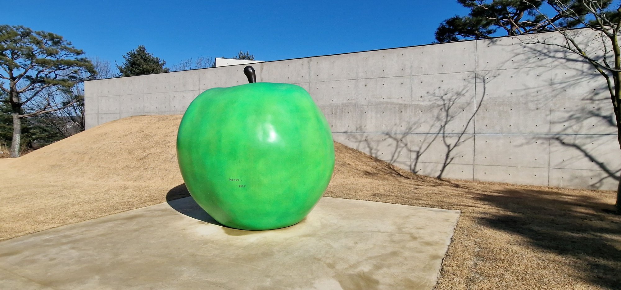 Apple in front of old meditation hall