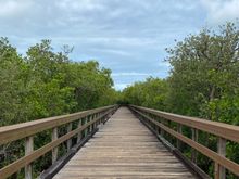 Nature walk to boat. Boat leaves very on time and if you miss it you are SOL. 