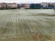 View from window in daylight