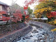 river that bisects village
