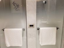separate stall for toilet and rain shower