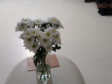 Fresh flowers in our room. 