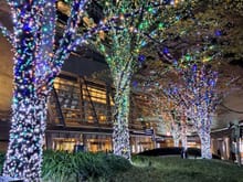 The upper level of Roppongi Hills ( close to the  metal giant spider   and entry to the Tokyo city view- beautiful multicolour lights round the trees and you can walk on the paths between them