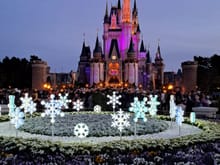 Tokyo Disneyland ( beautiful at christmas and 40th anniversary year ) just after sunset- very busy though)