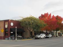 Fall Colours 28th September 2019