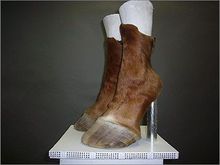 Melania’s new shoes. She’s not giving up without a fight!