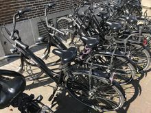 Bicycles for the brave 