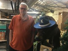 Me with Cocaine Bear. 