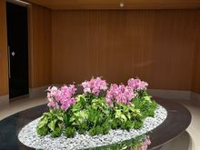 Nice piece in front of the female prayer room/shower area