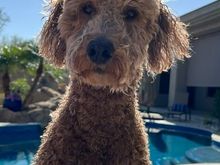 Ooh, that pool is refreshing!
