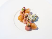 Bonito, Century Egg Gribiche, Pomme Souffle