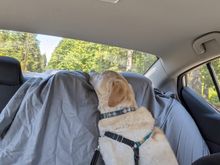 en route in the car this morning