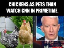  An interesting statistic about CNN... :)