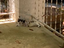 I think I’ve made a mistake.   They’re not leaving.  