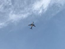Plane flying overhead