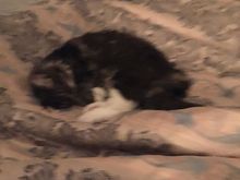 My baby is sleeping. My husband and I care about her. As long as she’s okay so will we.