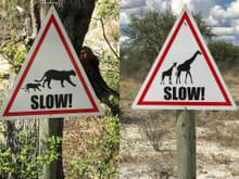 Caution:  animals nearby