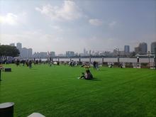 A dog show (as far as I could tell, it was for poodles only).