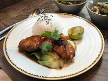 Salmon