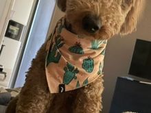 Poppy showing off her “Arizona” style. 