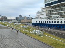 Cruise ship terminal