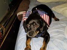 A reminder from my late Bayani, Happy 4th of July and stay safe.