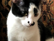 Charlie