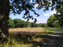 In the woods approaching Menden