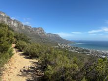 Pipe Trail on the slope of Table Mountain. Reminded me vaguely of NorCal, if you squint 😉.
