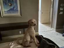 I’ll pose, but can we please get up already?!?!
