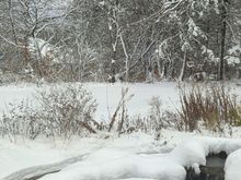 Sent from a friend in the northern Chicago suburbs this morning