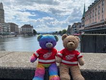 Robin and Cheddar on The Limmat