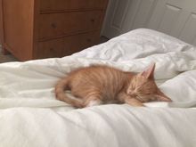 She sleeping with me in my room. 