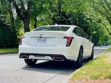 Not a fan of the rear