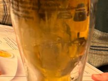 intriguing beer glass at A Brasiliera