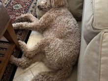 Staying cool AND comfortable! 
