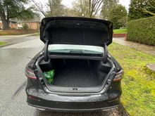 Trunk Size 