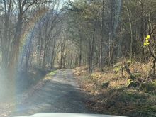 Deep in Log Lick Hollow 