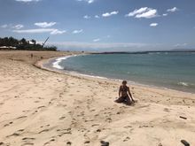 A Much Cleaner Beach