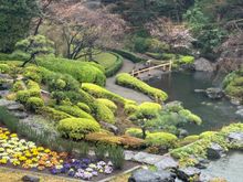 The Japanese gardens which are something of a tourist destination in their own right (in fact there were mainly Japanese visitors)