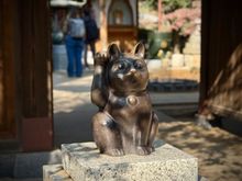Gōtokuji Temple 大谿山 豪徳寺,  birthplace of the “beckoning cat” seen all over Japan and many parts of Asia.