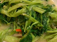 The water spinach is probably my go-to chinese vegetable dish. The crunchiness of the water spinach adds perfect texture and it was perfectly stir fried with garlic. 