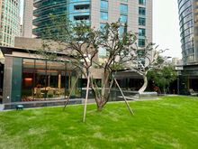 Garden outside the lobby
