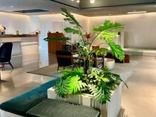 Lobby and lobby garden
