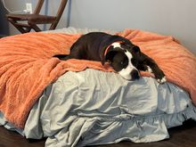 Brody is sitting as he is instructed until being told by momma he can get up.  