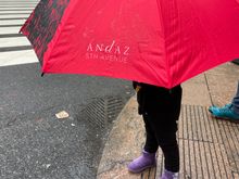 Loaner umbrella from the hotel that my daughter had to borrow to get in the way of everyone on the sidewalk