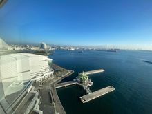 Harbor Views 
