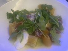 Rigatoni (second meal)