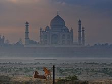 Canine View of Taj at Dawn 2010 FEB 22